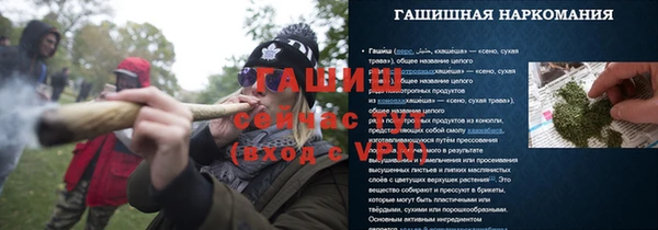 стафф Касимов