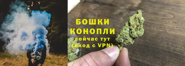 стафф Касимов
