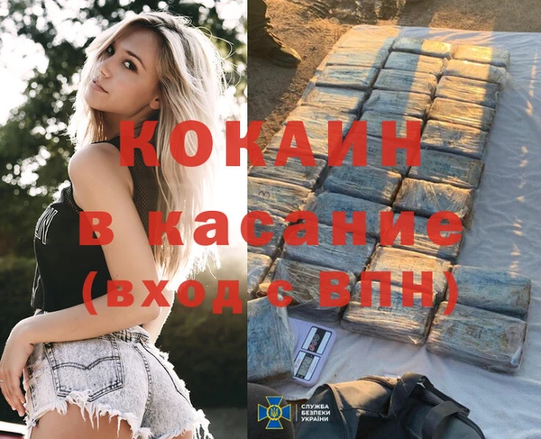индика Карталы