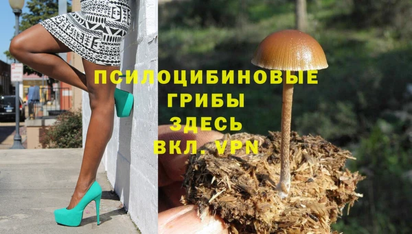 а пвп мука Карпинск