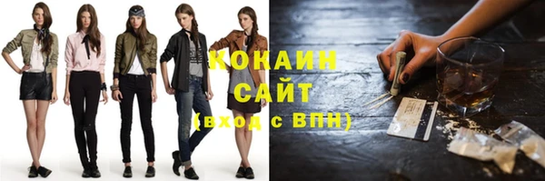 стафф Касимов
