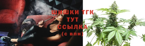 индика Карталы