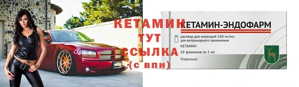стафф Касимов