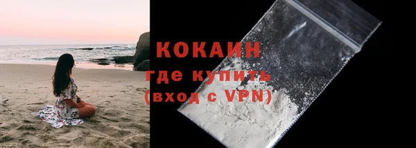 индика Карталы