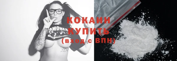 стафф Касимов