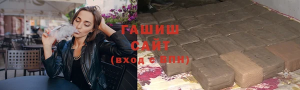стафф Касимов