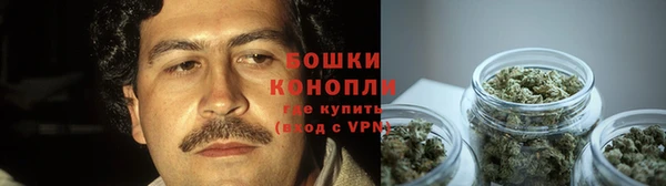индика Карталы