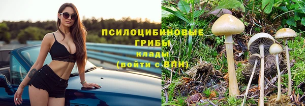 а пвп мука Карпинск