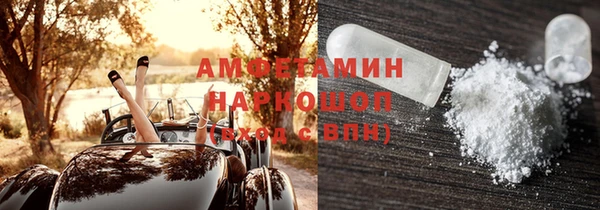 стафф Касимов