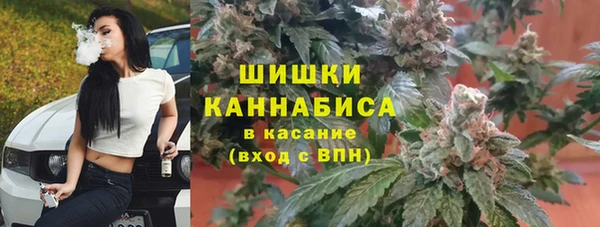 индика Карталы