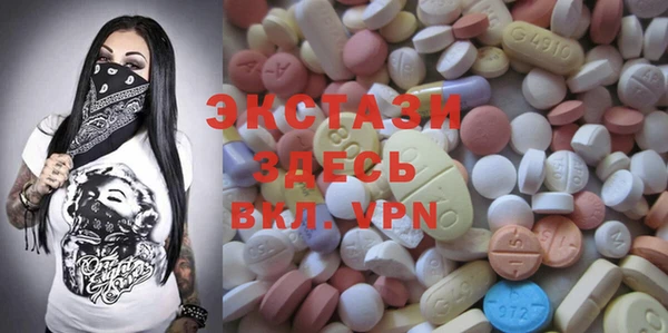 индика Карталы