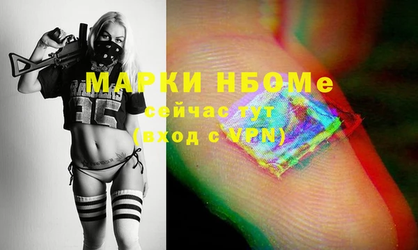стафф Касимов